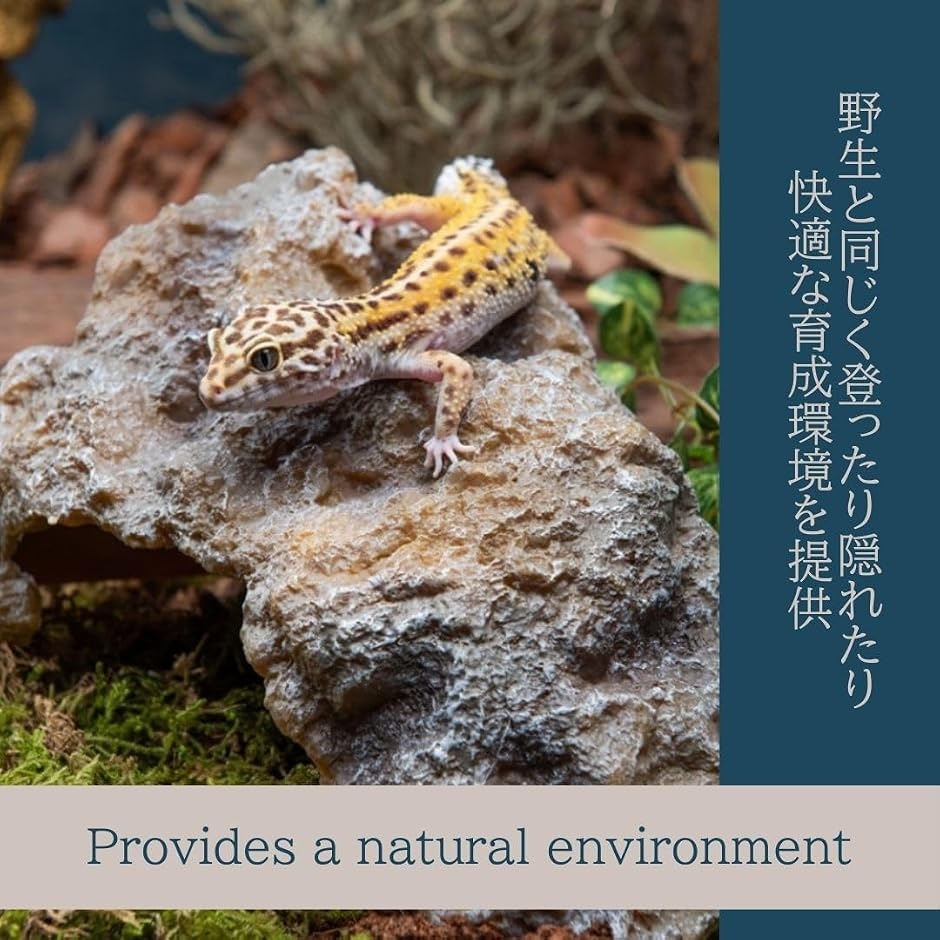 爬虫類 レオパ シェルター 岩風 隠れ家 トカ...の詳細画像4