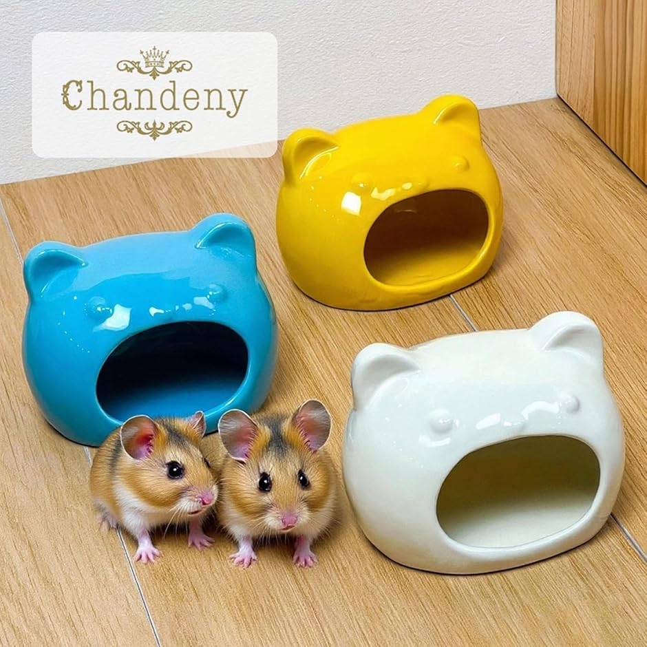 小動物用 陶器製 シェルター クマ型 ハムスター 隠れ家 ハウス