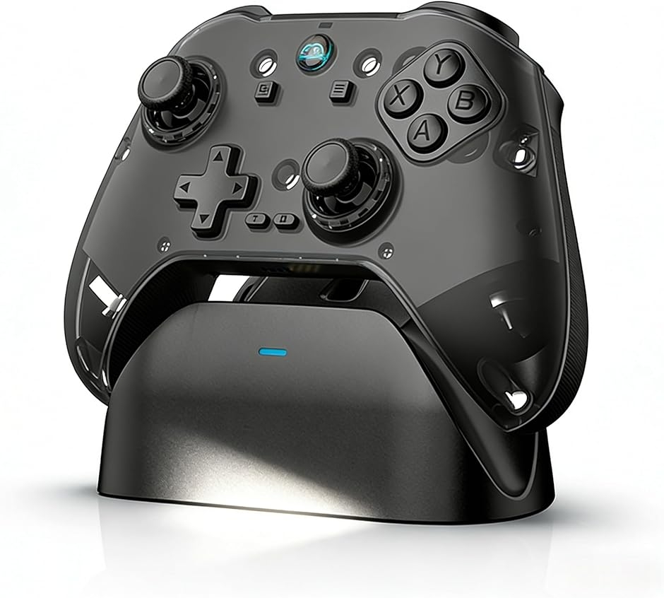 Switch �R���g���[���[ P4 �R���g���[���[�Q�[���p�b�h 2.4G���V�o�[�t�� �[�d�h�b�N�t�� �}�C�N���g���K�[ (�u���b�N)