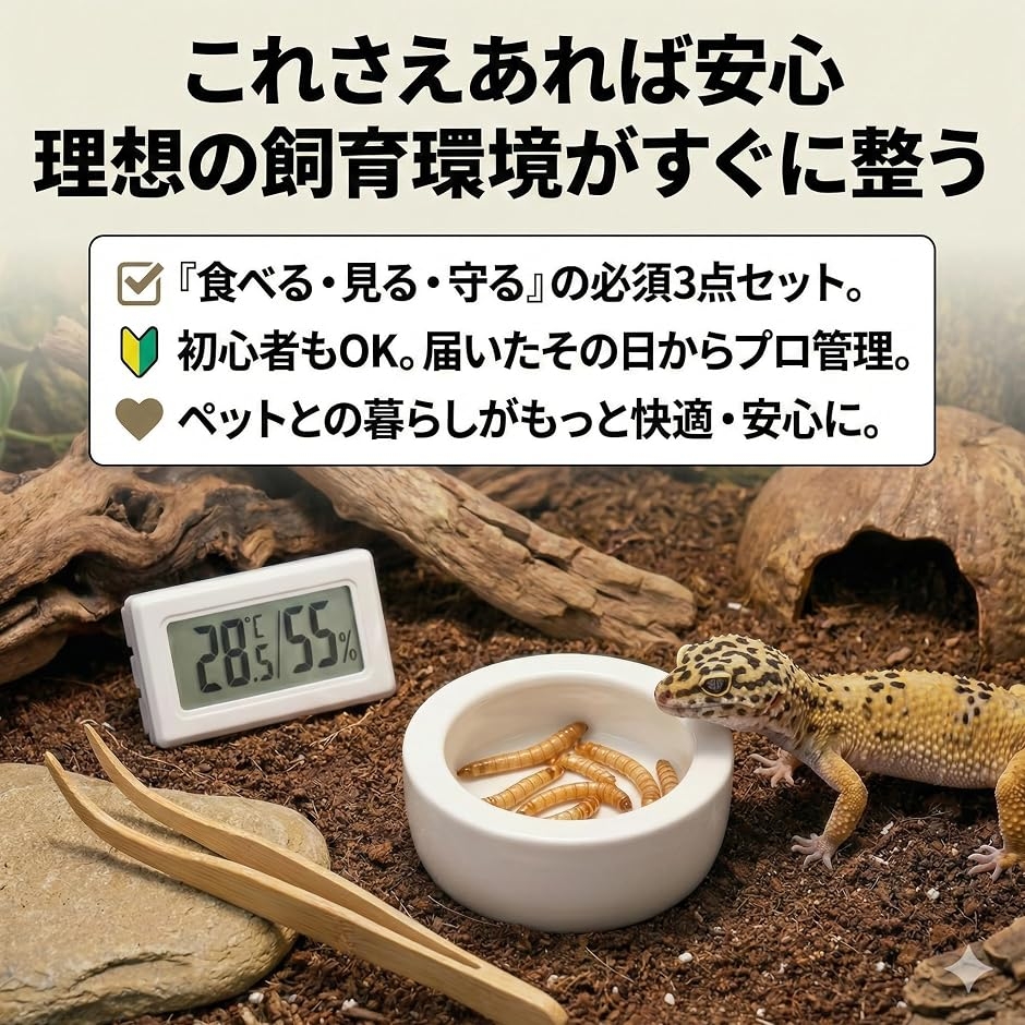 爬虫類用 飼育 3点セット防逃げエサ皿/竹製ピンセット/デジタル温湿度