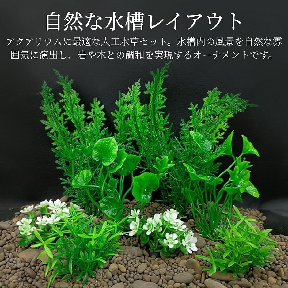 天然フジツボ　4つセット　アクアリウム飾り アクアリウム 人工水草 水槽オーナメント 8点セット カラフル水槽装飾