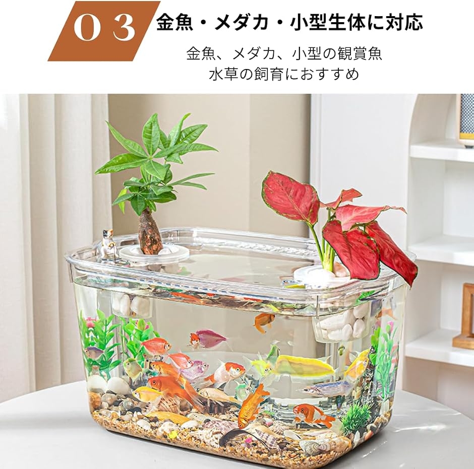 引き取り限定！水槽用品まとめて大量 Neumeister thein プラスチック 水槽 大型 引き取り限定 大型トロ舟 角