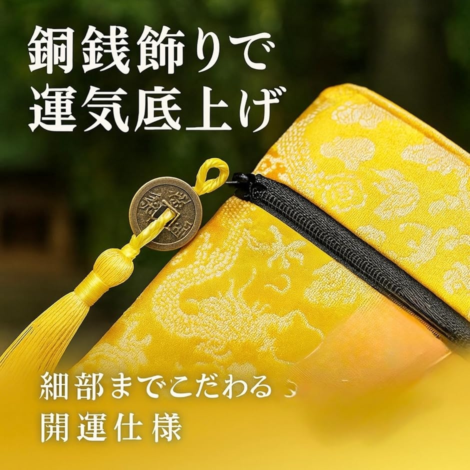 宝くじ入れ 金運アップ 龍柄 開運ポーチ 通帳入れ お守り入れ 古銭房