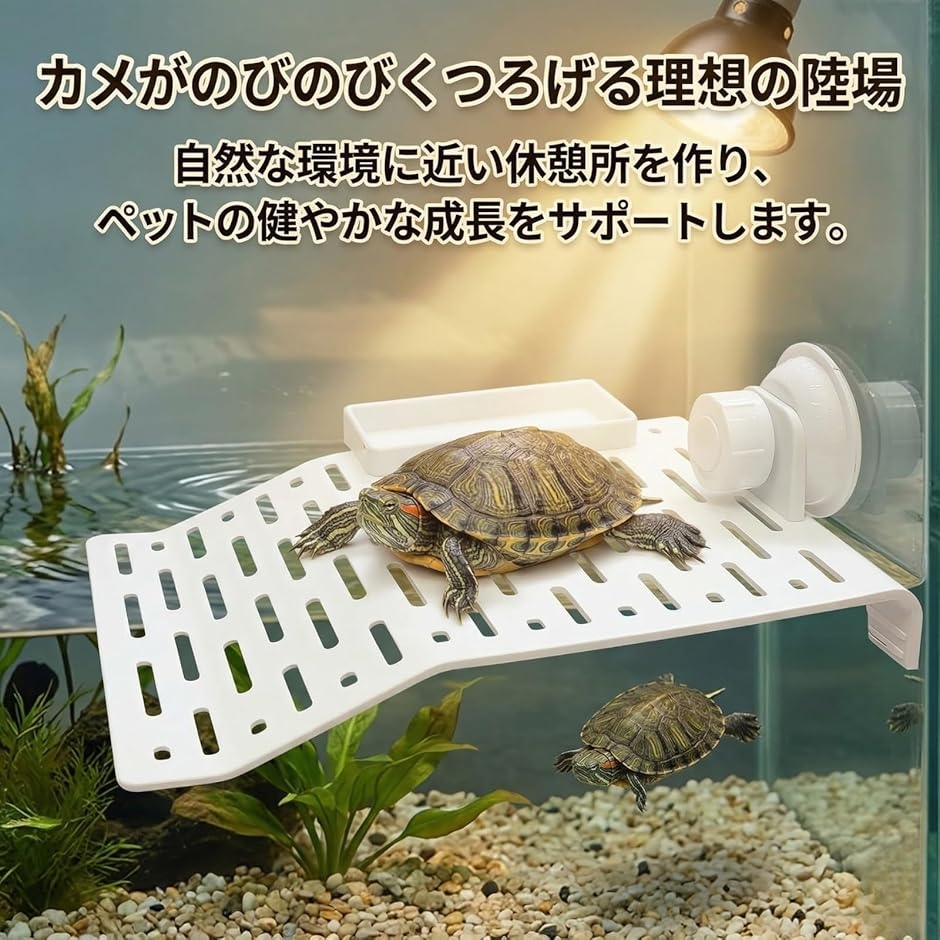 カメ 陸場 亀 浮島 亀の島 吸盤式 浮き島 ...の詳細画像1
