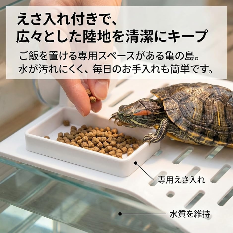 カメ 陸場 亀 浮島 亀の島 吸盤式 浮き島 ...の詳細画像2