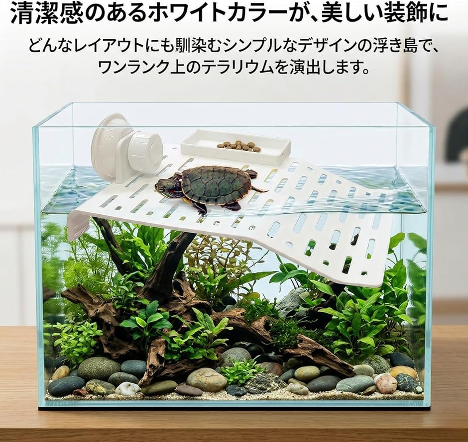 カメ 陸場 亀 浮島 亀の島 吸盤式 浮き島 ...の詳細画像3
