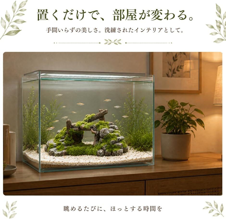 大型流木 約40cm 沈水確認済み 隠れ家にも◎ アクアリウム・爬虫類レイアウト アクアリウム オブジェ 水槽 隠れ家 レイアウト 置物 苔 流木 石橋