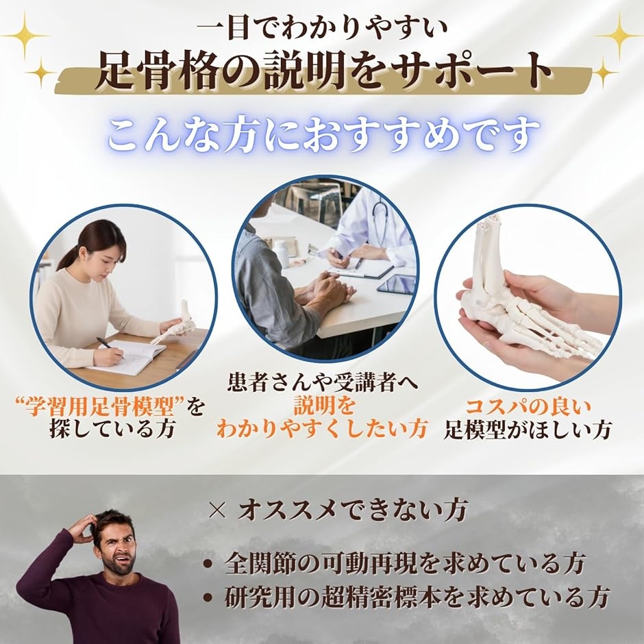 足骨模型 人体模型 骨格模型 骨格標本 学習・説明用 足模型 : スピード