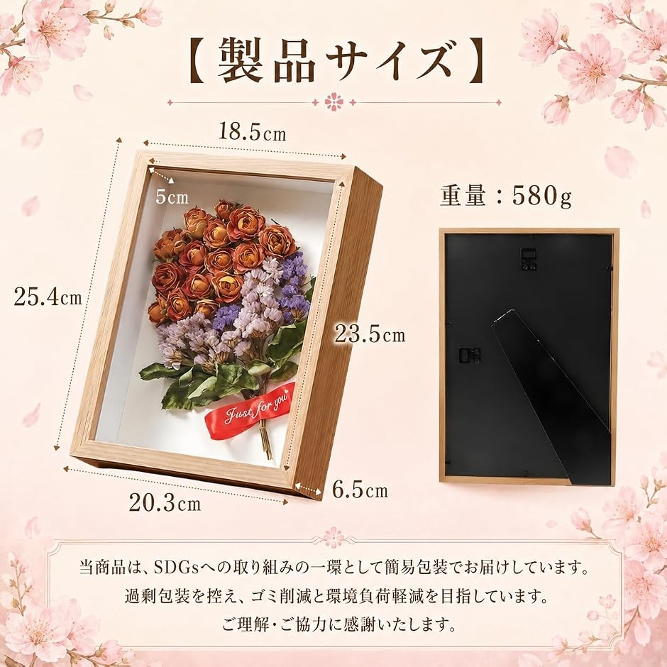 標本箱の商品一覧 通販 - Yahoo!ショッピング