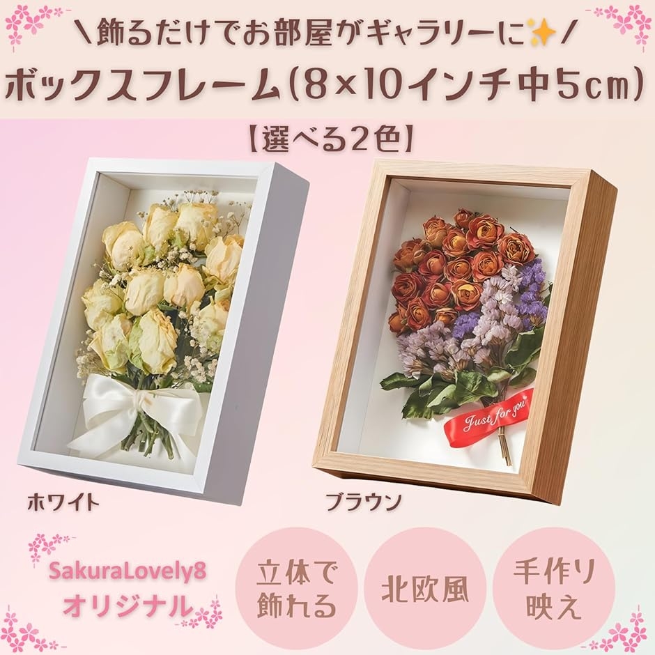 標本箱のおすすめ人気商品一覧 通販 - Yahoo!ショッピング