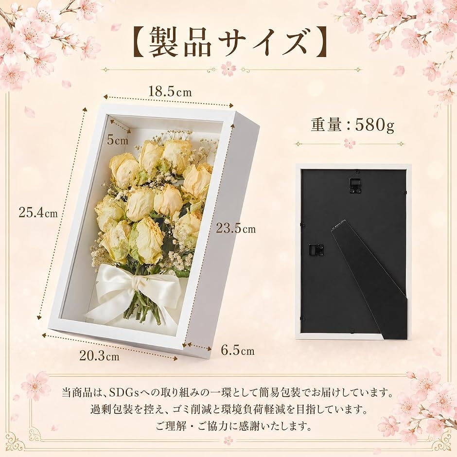 標本箱の商品一覧 通販 - Yahoo!ショッピング