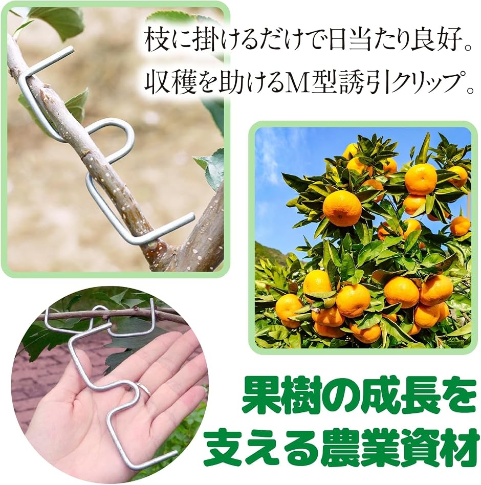 枝引き器 誘引クリップ 果樹 園芸 枝曲げ M型 盆栽 固定 農業資材 MDM