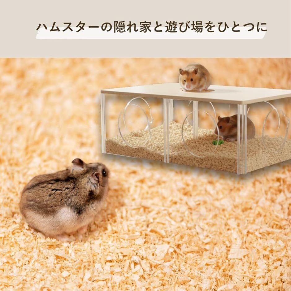 ハムスター ハウス 家 三室 底板なし 遊び場...の詳細画像1