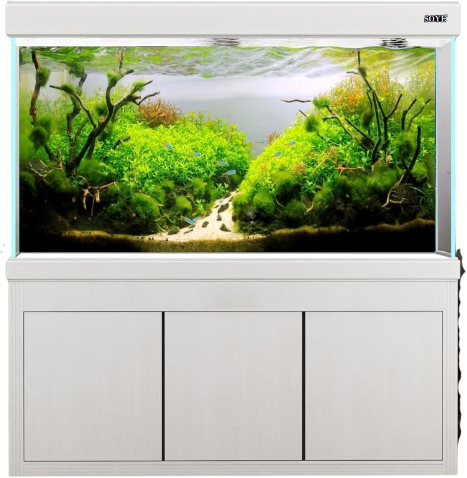 水槽 60×30」の人気商品一覧 | 安い商品を通販サイトから探す - 価格.com