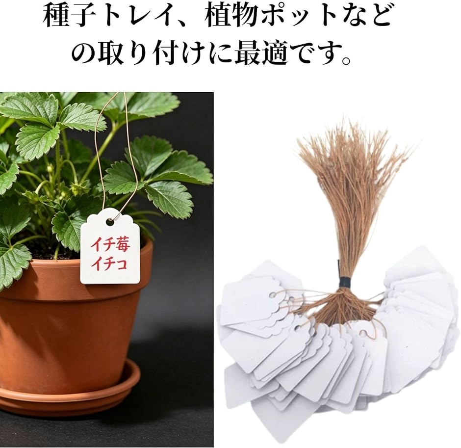 Life2 キク 園芸ラベル 植物タグ 200枚セット PVC製 再利用可能 防水