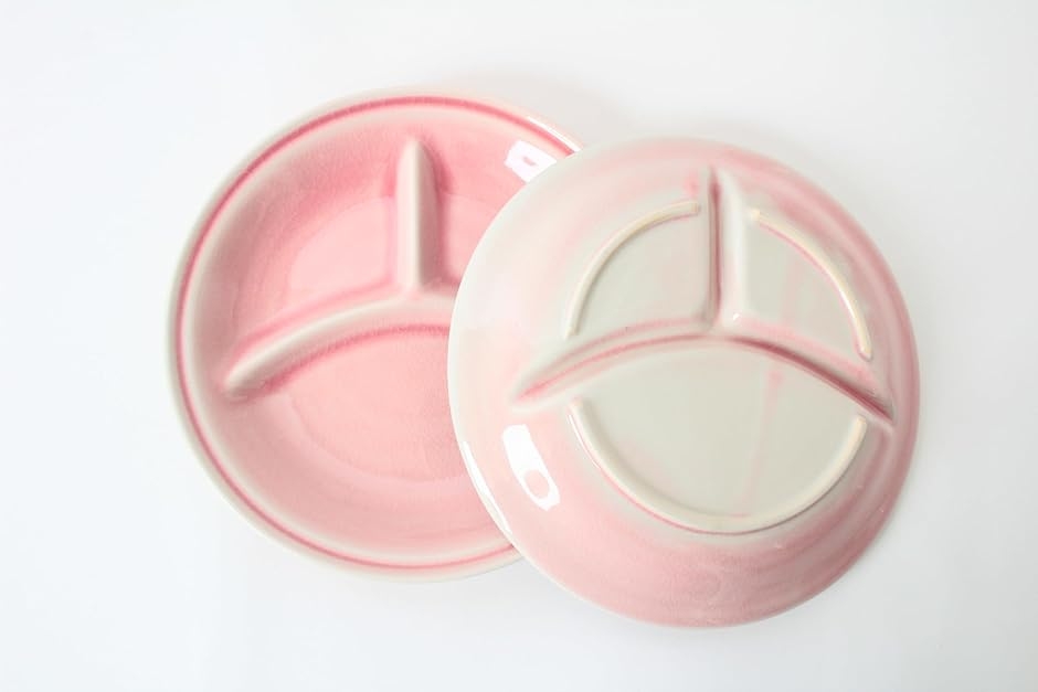 美濃焼 ランチプレート 仕切りプレート 2枚セット 貫入模様 24cm 日本