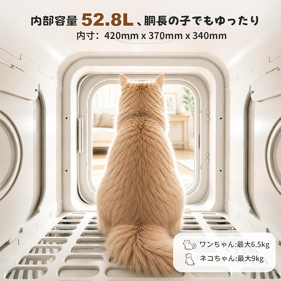 ペットドライルーム ペットドライヤーボックス 小型犬 猫用 乾燥機