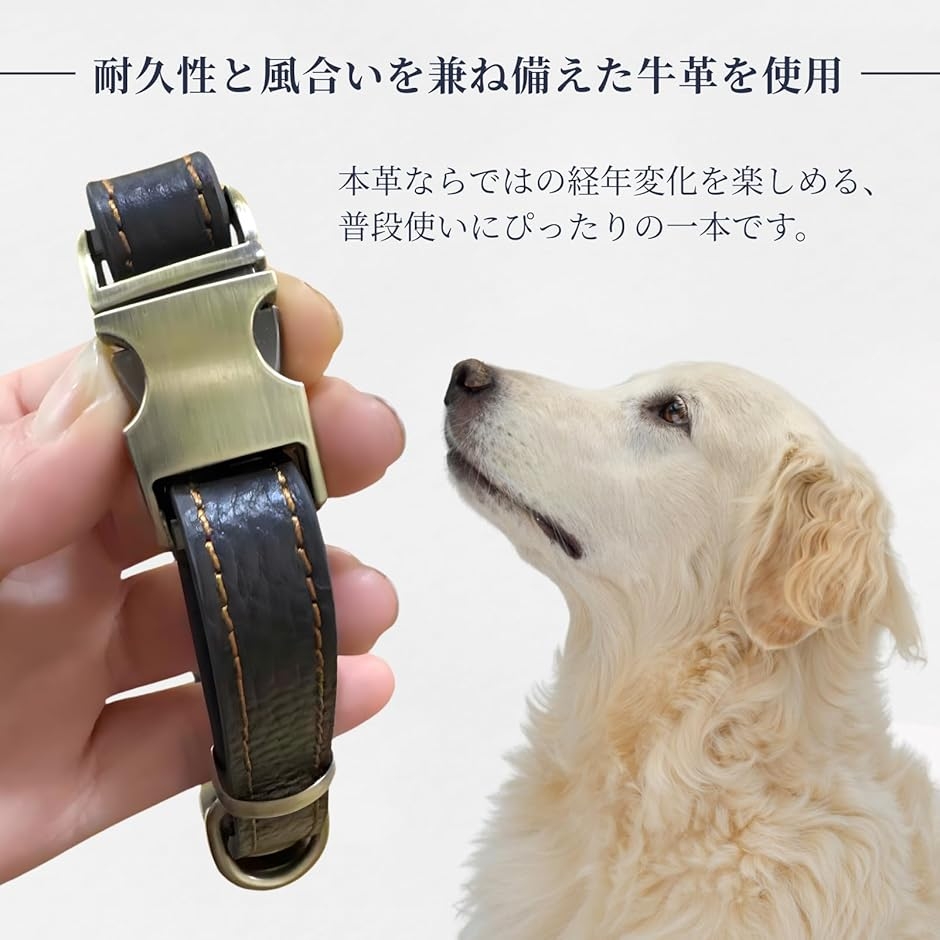 【CDO-SLHS20CBL〈BK〉】犬の首輪〈サイズ「M」〉牛革　人気 犬 首輪 レザー 本革 金属製バックル ワンタッチ着脱 サイズ調節可能