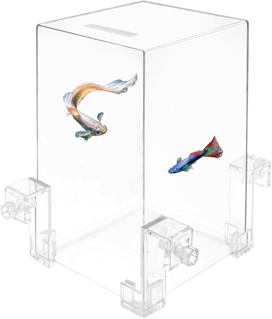 アクリル水槽、魚屋たっちゃん専用。 四つのこだわりでつくる巨大なアクリル水槽 | JULY 2024