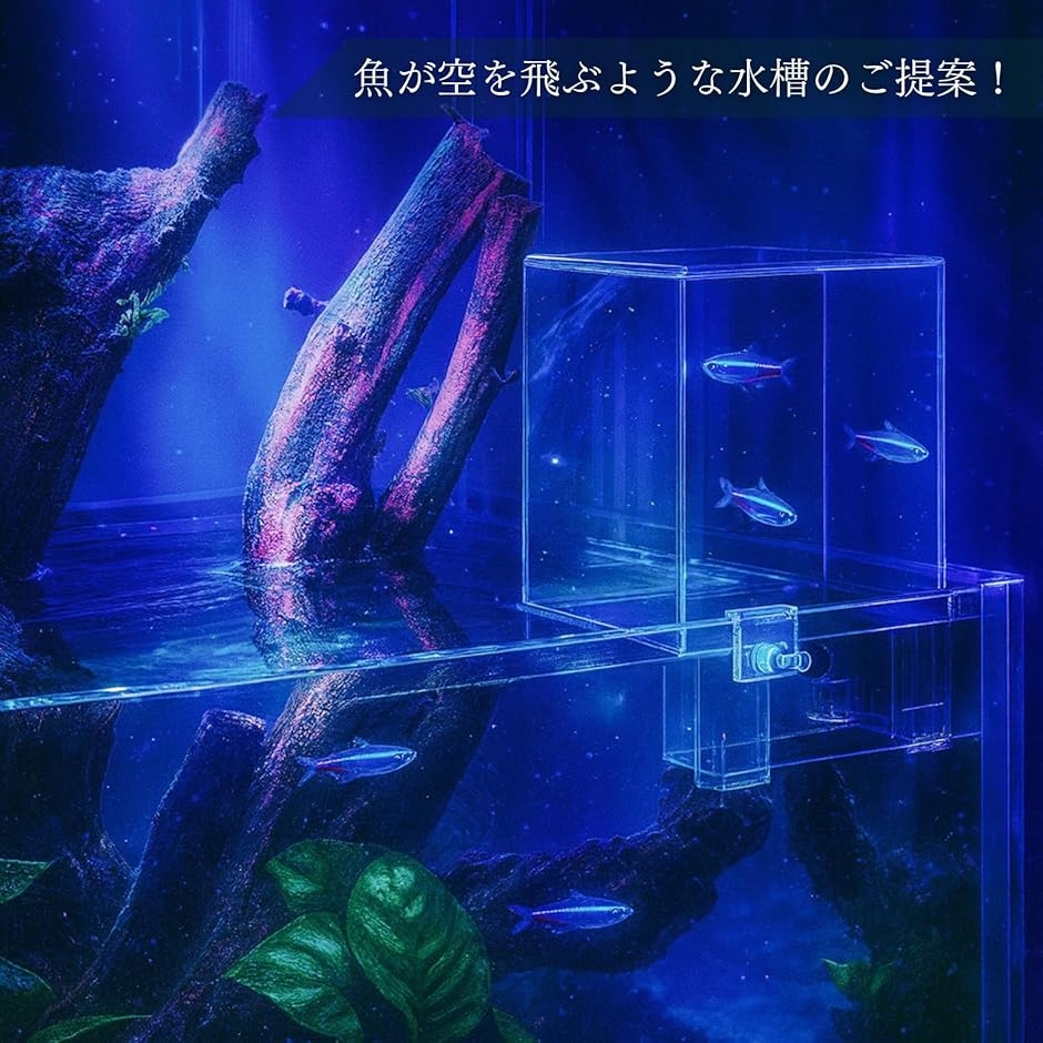 アクリル水槽、魚屋たっちゃん専用。 Amazon.co.jp: 水槽用フィッシュタワー, アクリル真空水族館逆さ水槽