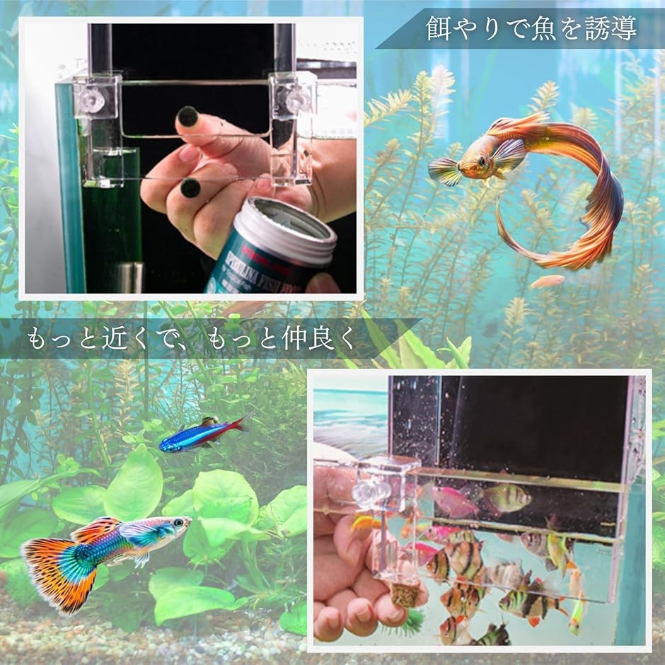 フィッシュタワー 魚タワー 負圧水槽 空中 アクアリウム 透明 アクリル