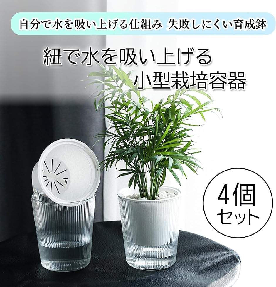 植木鉢 水耕栽培 底面給水鉢 プランター 観葉植物 透明 ポット 自動