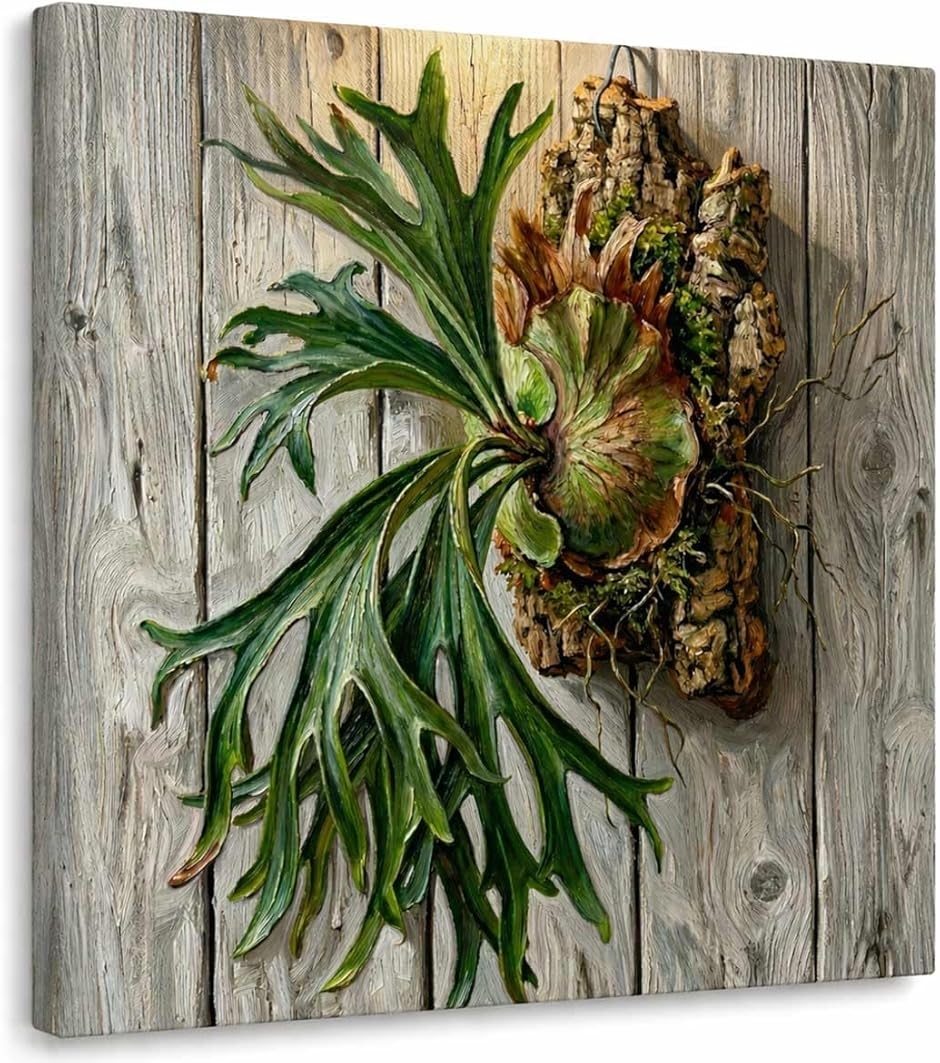 塊根植物 コーデックス 絵画 アートパネル ポスター 壁掛け MDM (006A
