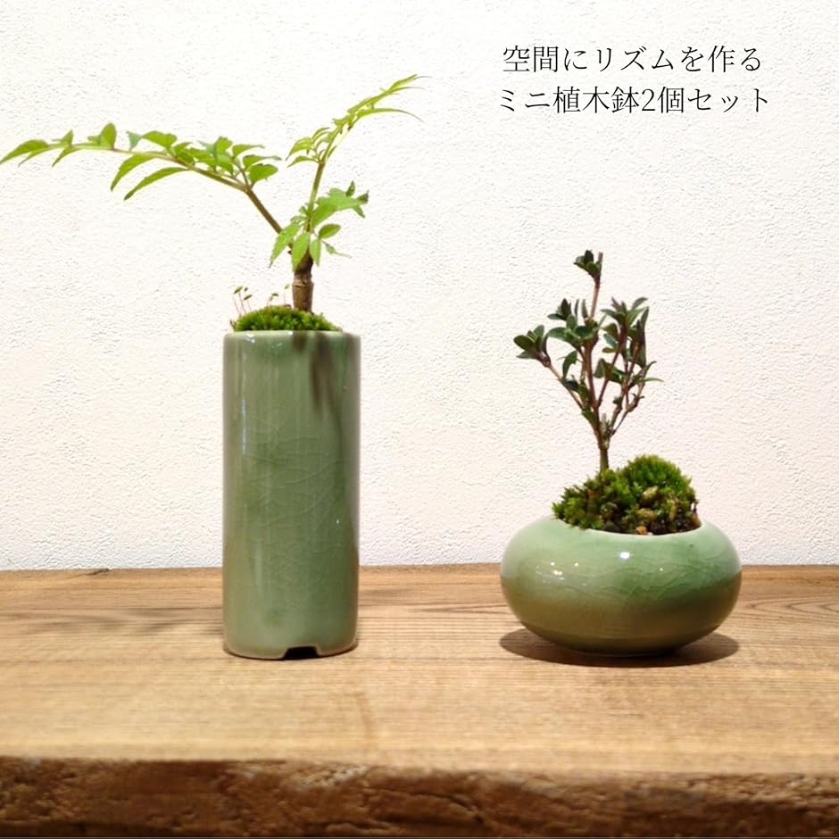 植木鉢 ミニサイズ 2型セット 筒型 豆鉢 陶器 氷裂模様 貫入 ミニ盆栽