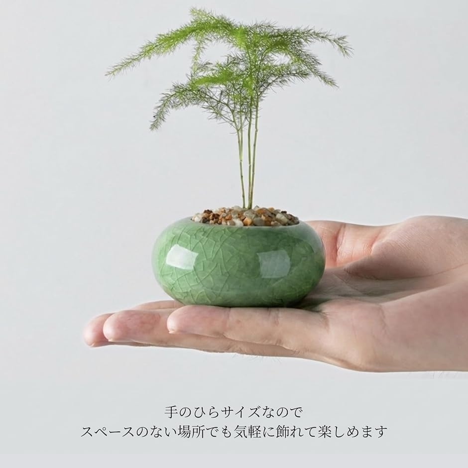植木鉢 ミニサイズ 2型セット 筒型 豆鉢 陶器 氷裂模様 貫入 ミニ盆栽
