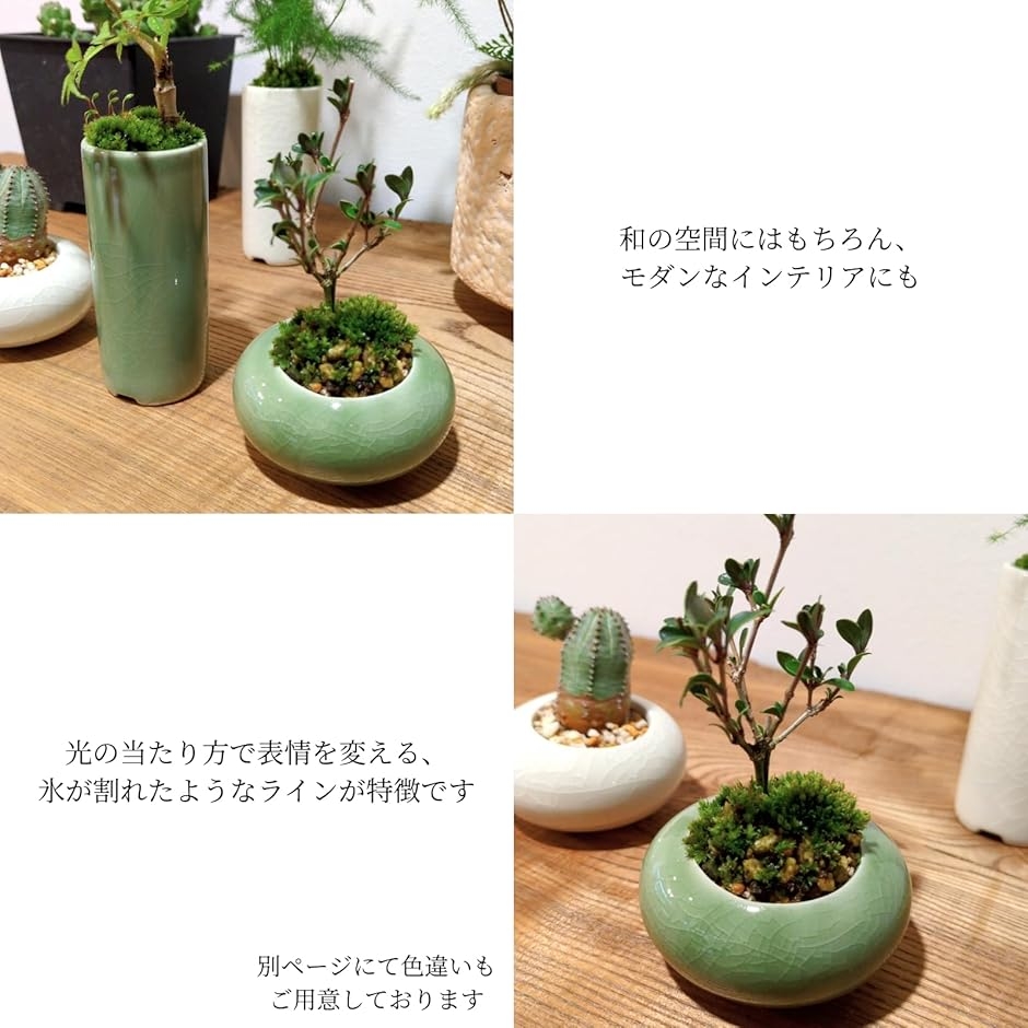 植木鉢 ミニサイズ 2型セット 筒型 豆鉢 陶器 氷裂模様 貫入 ミニ盆栽