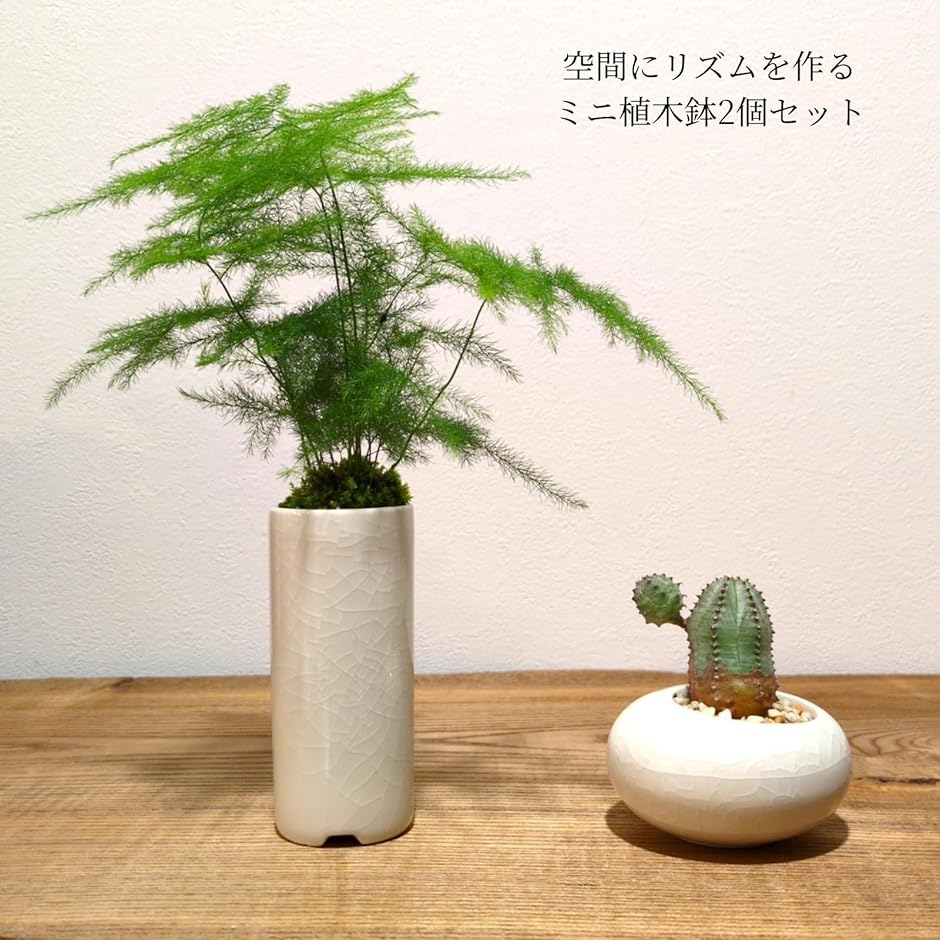 植木鉢 ミニサイズ 2型セット 筒型 豆鉢 陶器 氷裂模様 貫入 ミニ盆栽