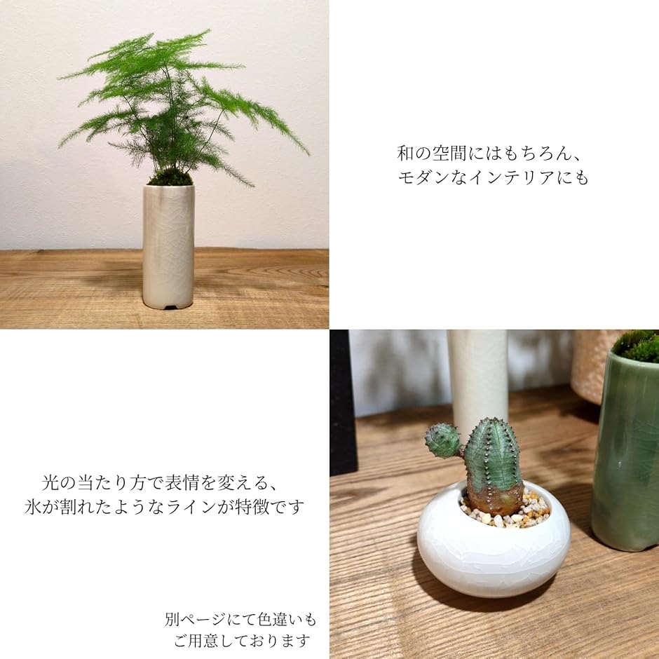 植木鉢 ミニサイズ 2型セット 筒型 豆鉢 陶器 氷裂模様 貫入 ミニ盆栽