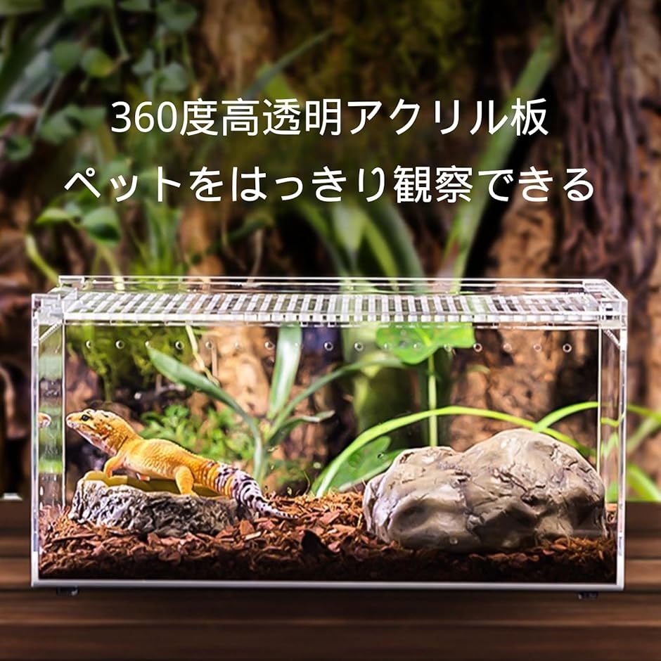 爬虫類ケージ アクリル飼育ケース 小型ペット用ハウス 通気穴付き 観察