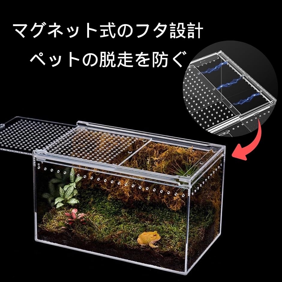 爬虫類ケージ アクリル飼育ケース 小型ペット用ハウス 通気穴付き 観察