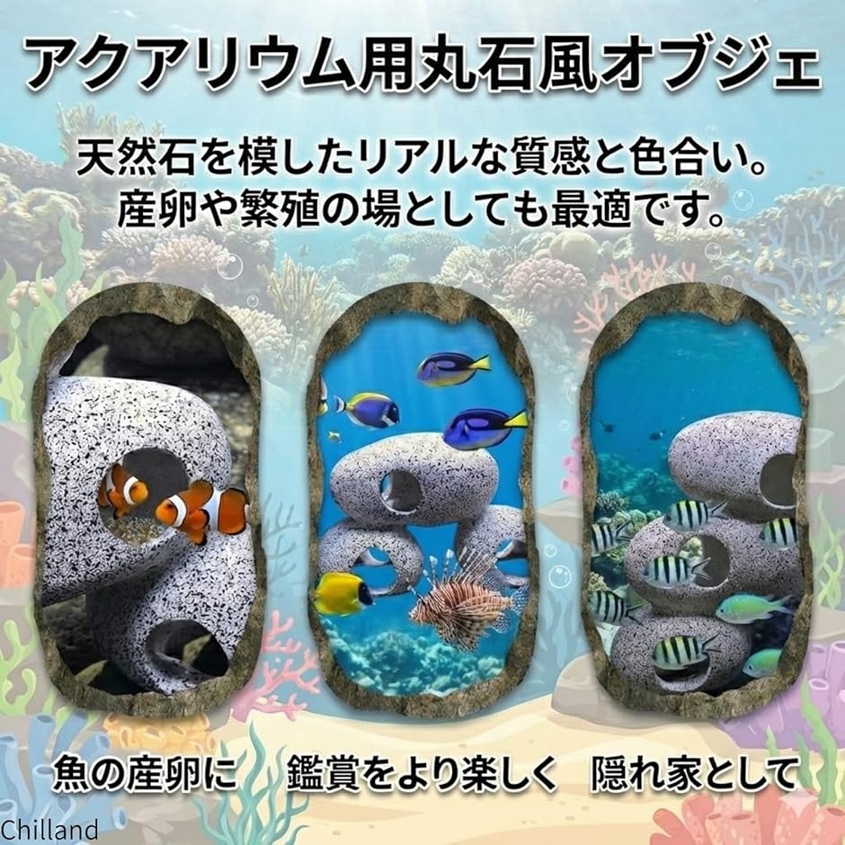 大家族のおうち 熱帯魚 アクアリウム シェルター | APPS-BICENTENARIO 