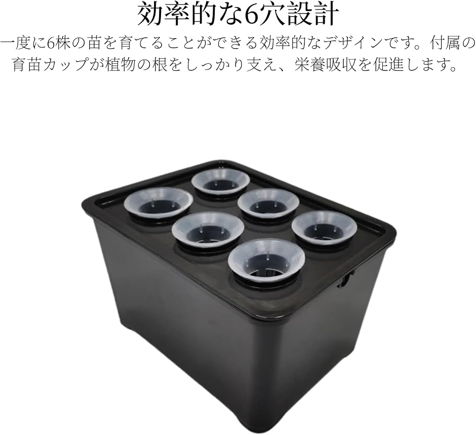 水耕栽培キット 家庭菜園 育苗箱 室内 苗床 セット 6穴 園芸 植物育成