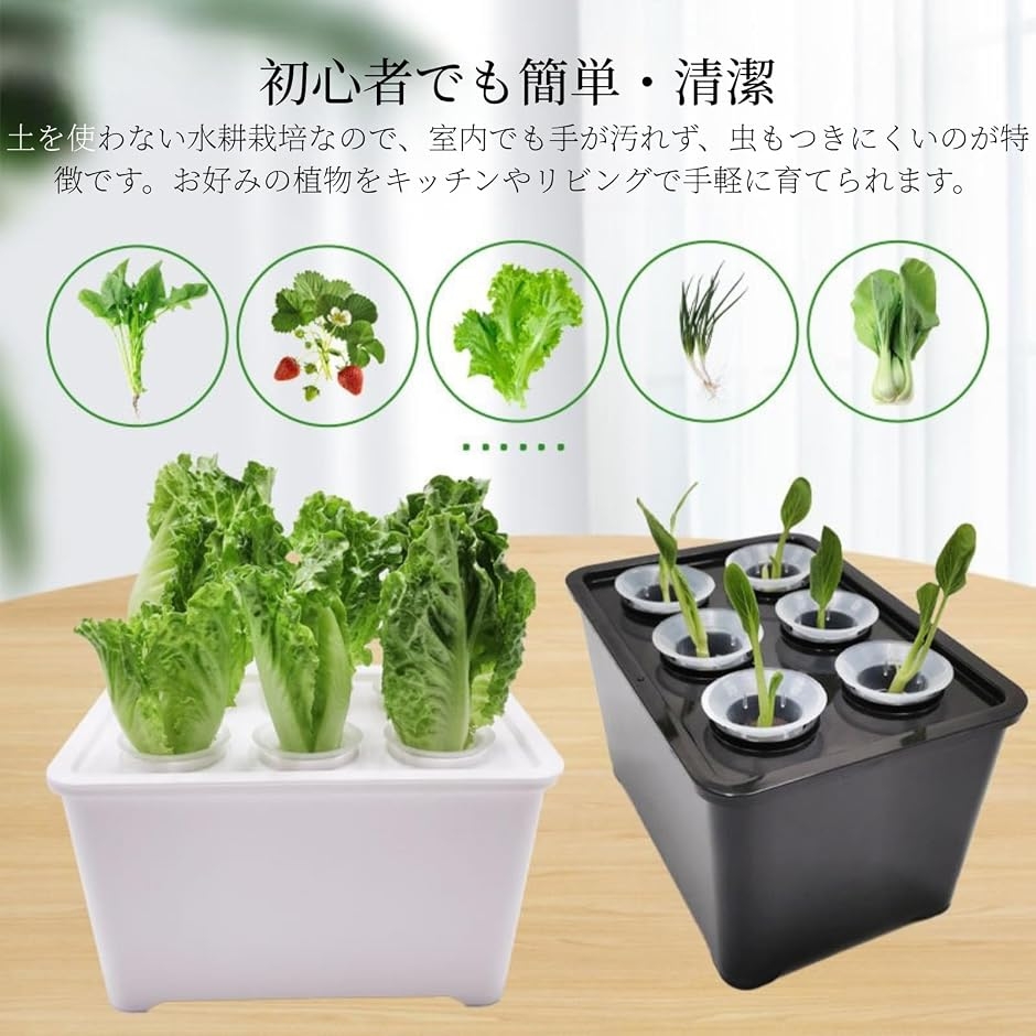 水耕栽培キット 家庭菜園 育苗箱 室内 苗床 セット 6穴 園芸 植物育成