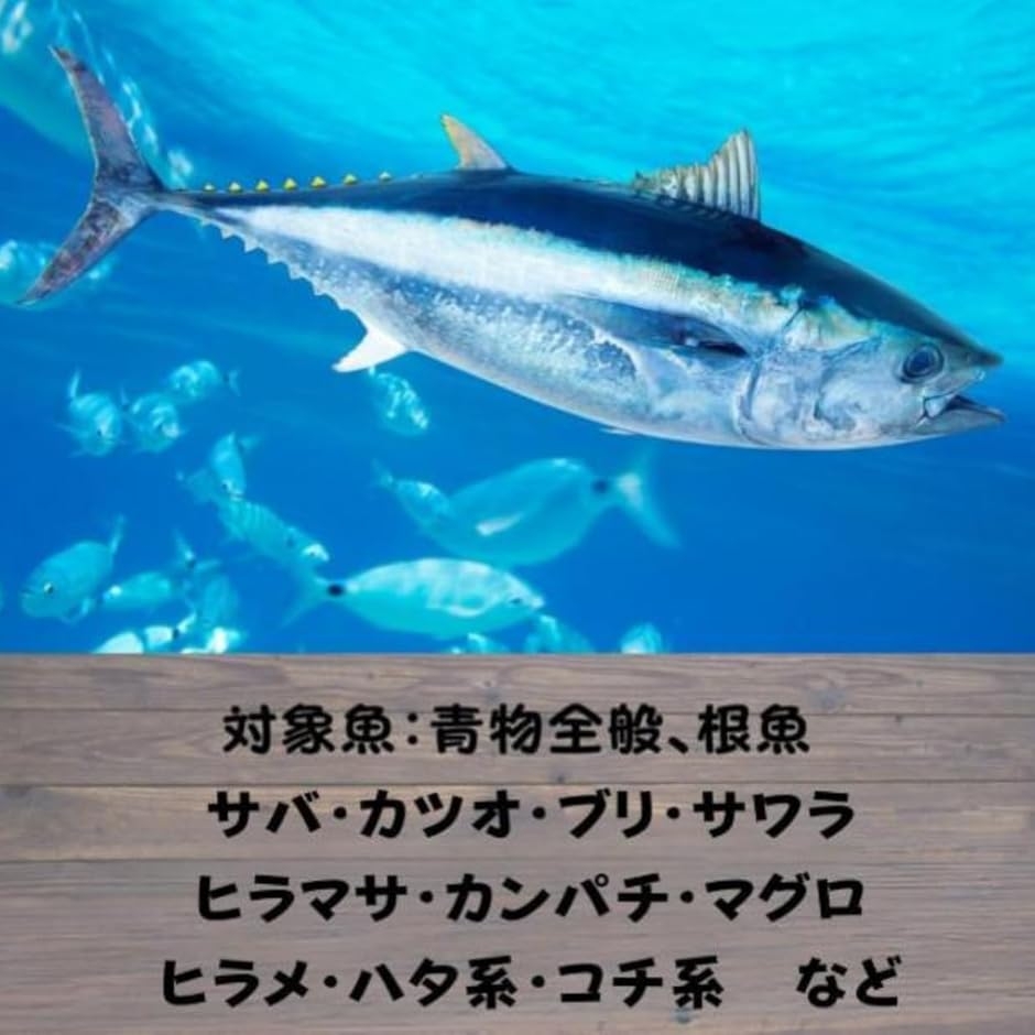 メタル ジグ セット ジギング カラー リアル オフ ショア 堤防 船釣り