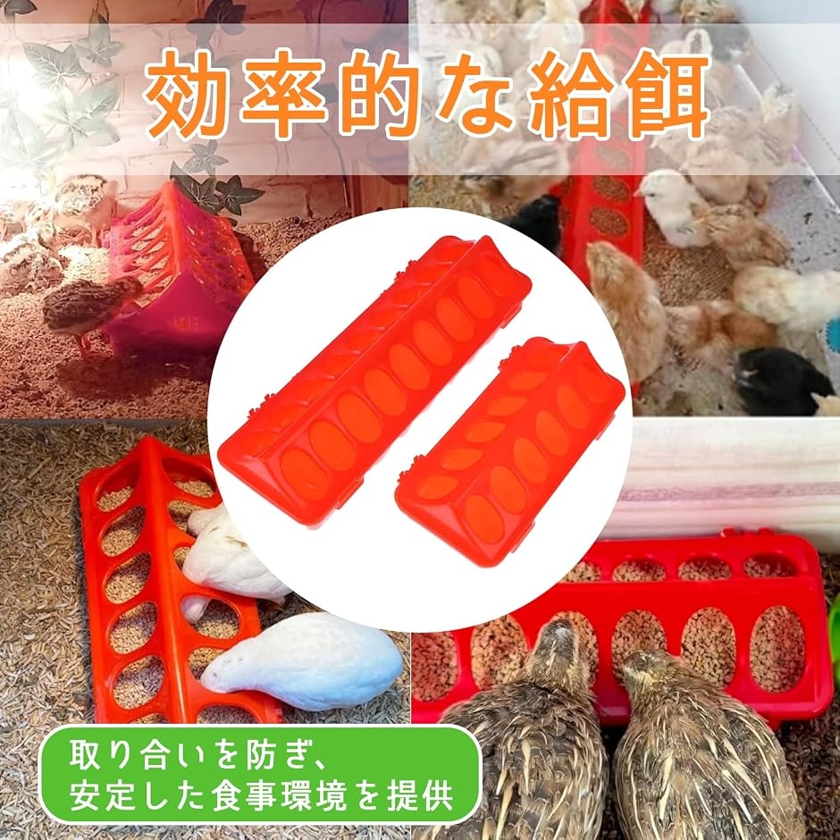 小型鳥用 フィーダー 多穴 給餌器 フード 入れ ウズラ ニワトリ ケージ 