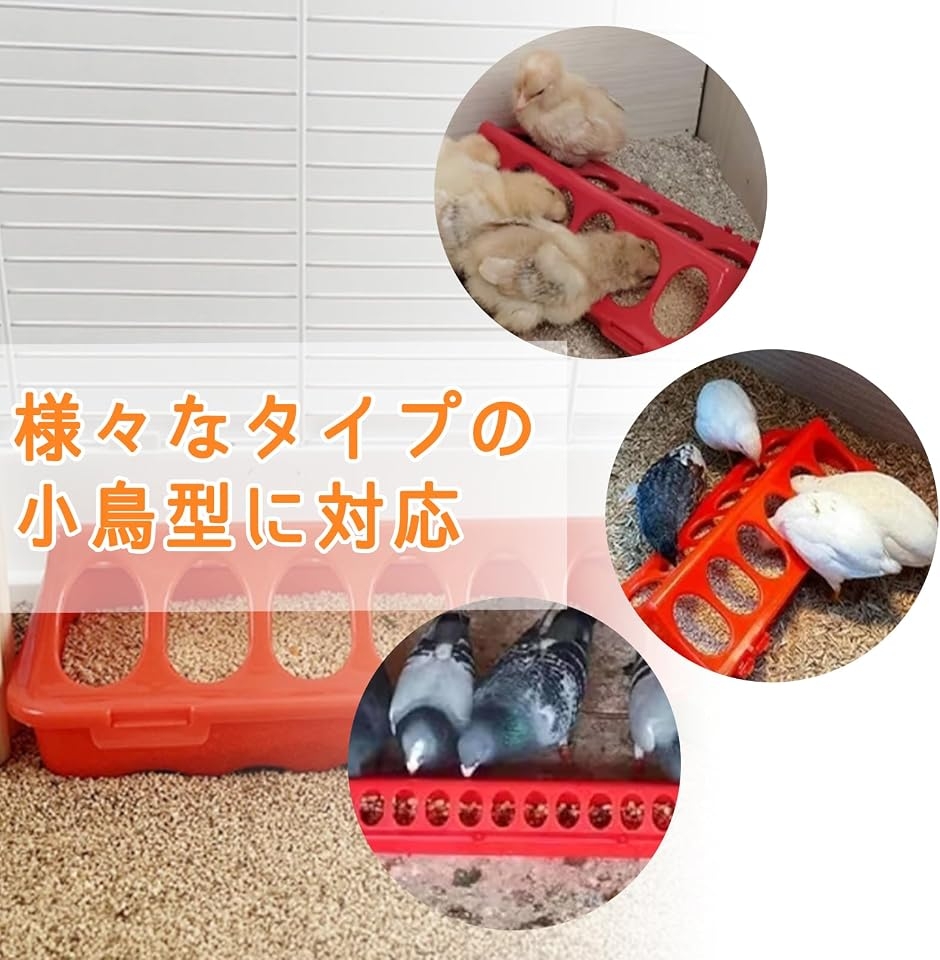 小型鳥用 フィーダー 多穴 給餌器 フード 入れ ウズラ ニワトリ ケージ 