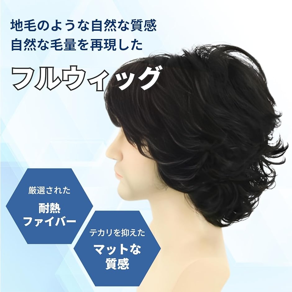 ウィッグ メンズ フルウィッグ ゆるふわ カール パーマ ネット付 耐熱