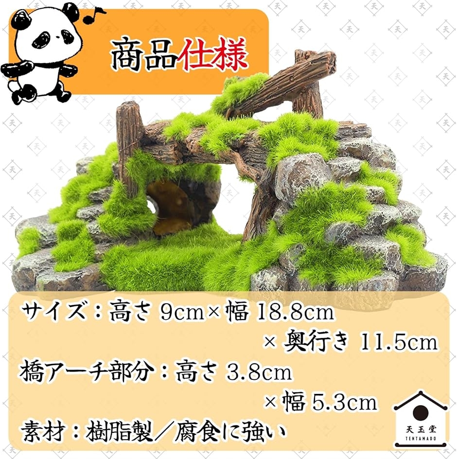 2brtx12589_5.jpg?size=n