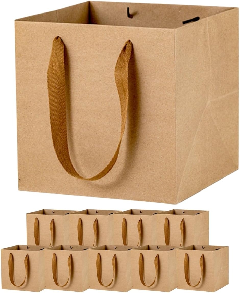 ���� ��� �M�t�g�p �}�`�L �M�t�g�o�b�O �� �����` 10�� �Z�b�g (�N���t�g,  25x25x25cm)