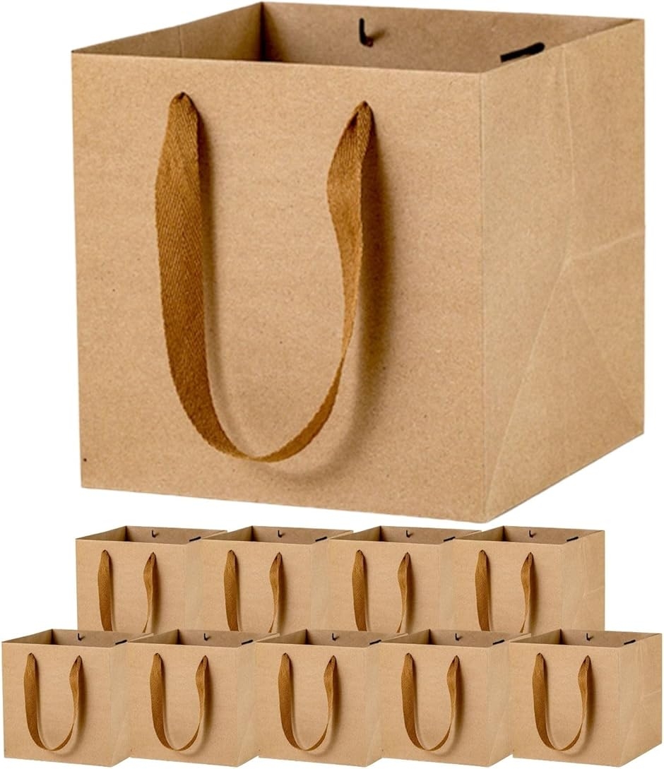 ���� ��� �M�t�g�p �}�`�L �M�t�g�o�b�O �� �����` 10�� �Z�b�g (�N���t�g,  20x20x20cm)