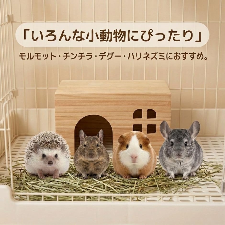 モルモット ケージ（小動物用サークル、ケージ）｜ケージ