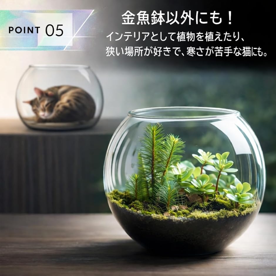 プラスチック 水槽 大型の商品一覧 通販 - Yahoo!ショッピング