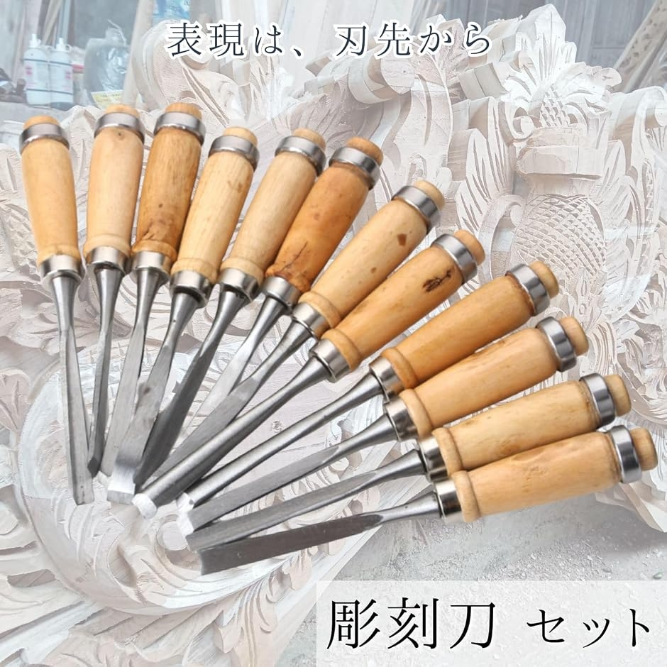 彫刻刀 セット ノミ 工具 木彫り 木工 プロ 初心者 12本セット