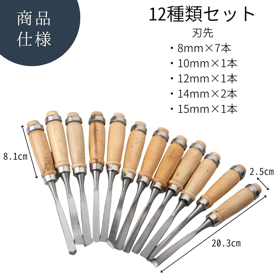 彫刻刀 セット ノミ 工具 木彫り 木工 プロ 初心者 12本セット