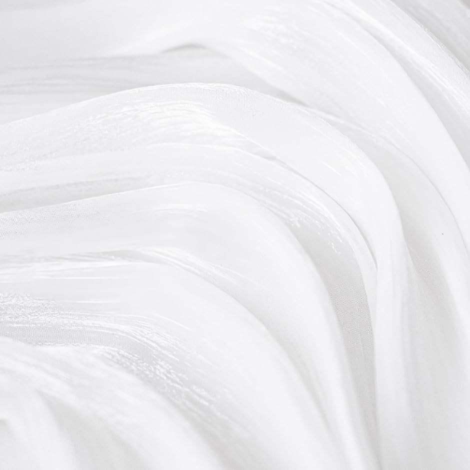 wiz Bep p[  iBe ʐ^ ϕi WG[  (VA[zCg,  75x100cm)