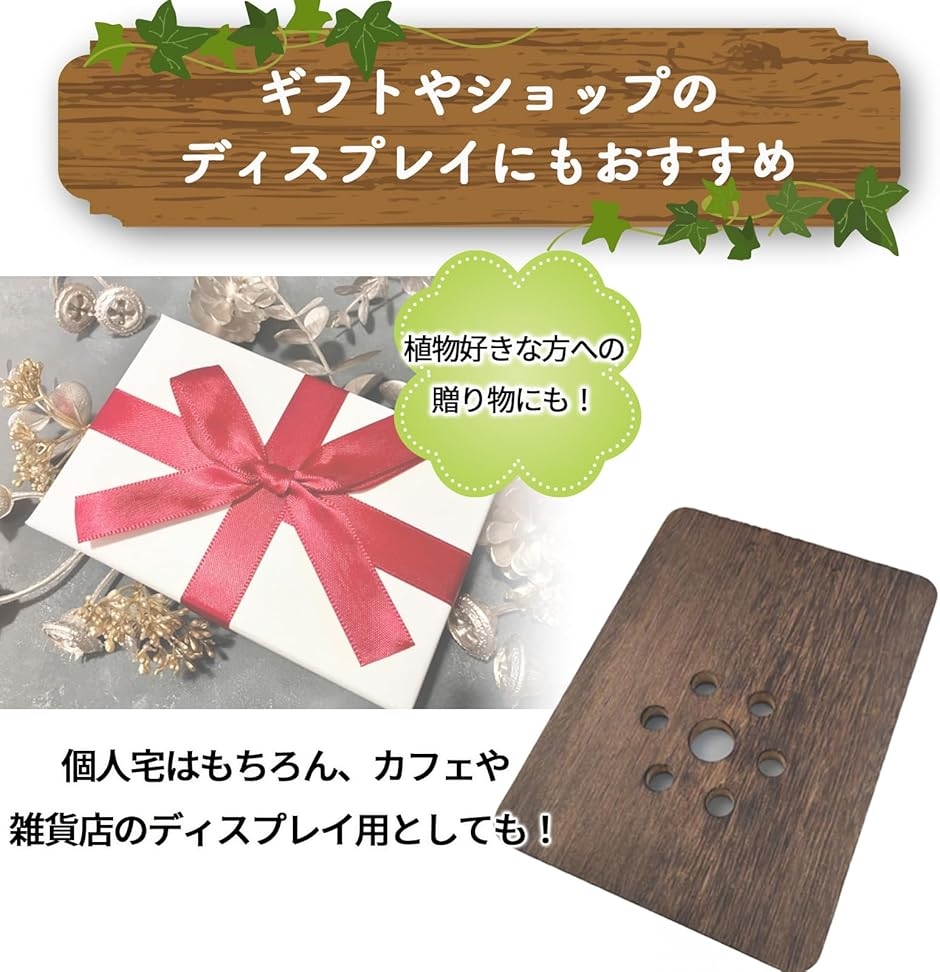 着生板 コウモリラン ビカクシダ 壁掛けプレート 天然木 多肉植物 観葉